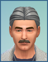 ansehen Wolf Werner Senior